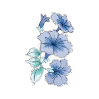 Drawing Wedding Drawing Wedding