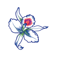 Drawing Wedding Drawing Wedding