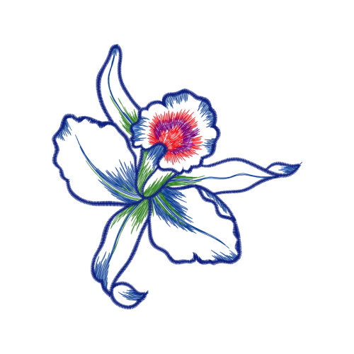 Drawing Wedding Drawing Wedding