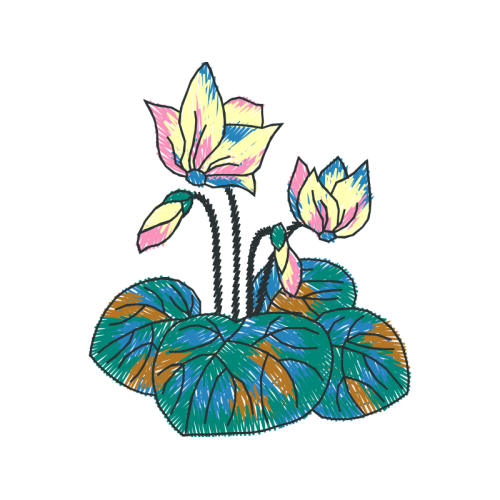 Drawing Wedding Drawing Wedding