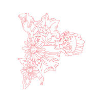 Drawing Wedding Drawing Wedding