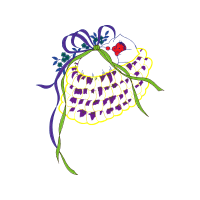 Drawing Wedding Drawing Wedding