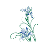 Drawing Wedding Drawing Wedding