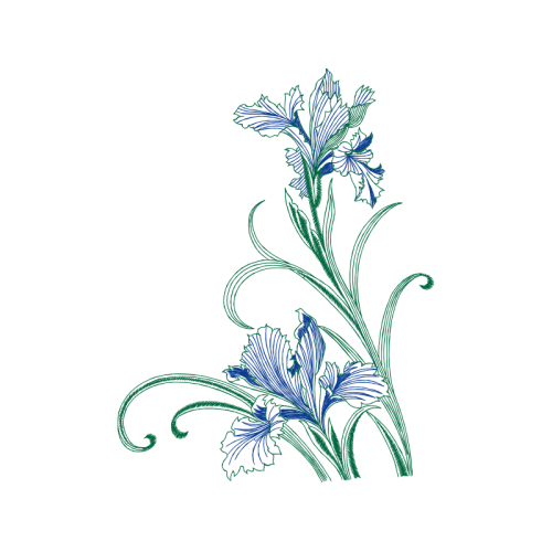 Drawing Wedding Drawing Wedding