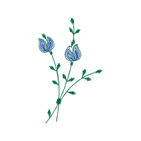 Drawing Wedding Drawing Wedding