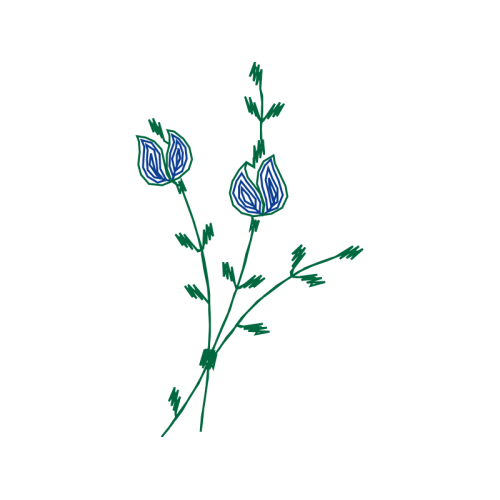 Drawing Wedding Drawing Wedding