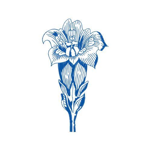 Drawing Wedding Drawing Wedding