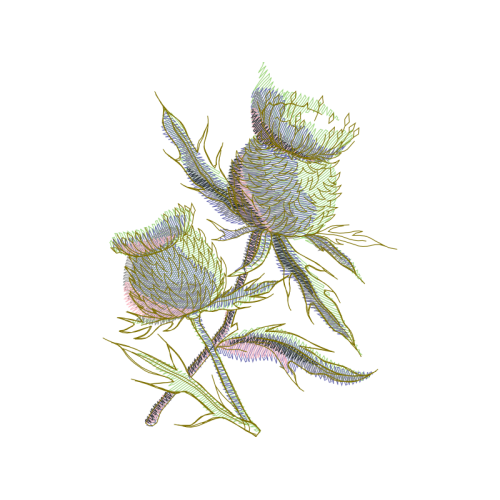 Drawing Wedding Drawing Wedding