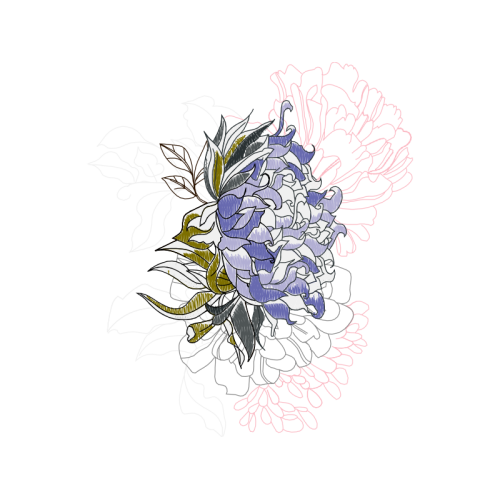 Drawing Wedding Drawing Wedding