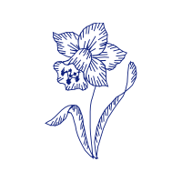 Drawing Wedding Drawing Wedding