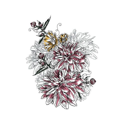 Drawing Wedding Drawing Wedding