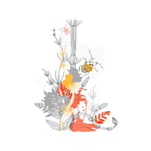 Drawing Wedding Drawing Wedding