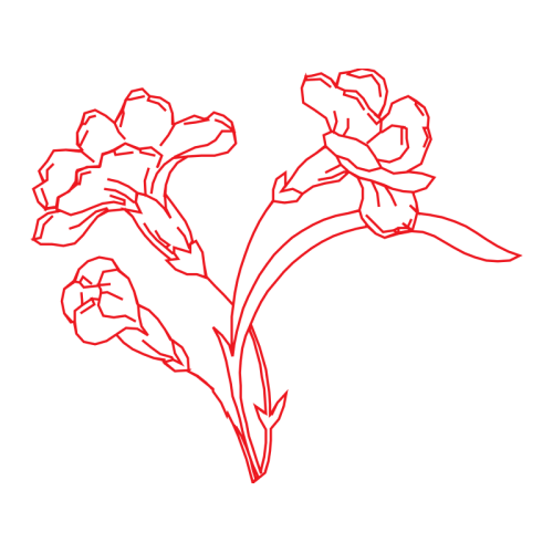 Drawing Wedding Drawing Wedding