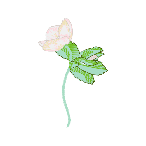 Drawing Wedding Drawing Wedding