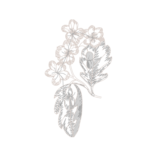 Drawing Wedding Drawing Wedding