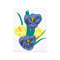 Drawing Wedding Drawing Wedding