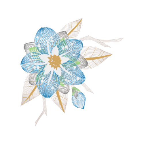 Drawing Wedding Drawing Wedding