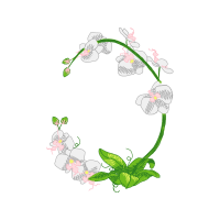 Drawing Wedding Drawing Wedding