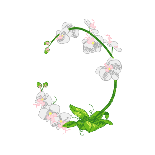 Drawing Wedding Drawing Wedding