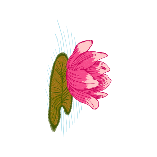 Drawing Wedding Drawing Wedding