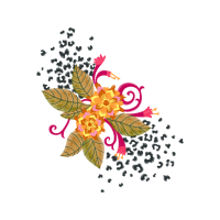 Drawing Wedding Drawing Wedding