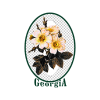 Drawing Wedding Drawing Wedding