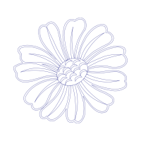 Drawing Wedding Drawing Wedding