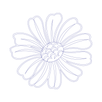 Drawing Wedding Drawing Wedding