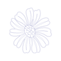 Drawing Wedding Drawing Wedding