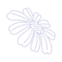 Drawing Wedding Drawing Wedding