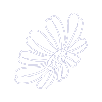 Drawing Wedding Drawing Wedding