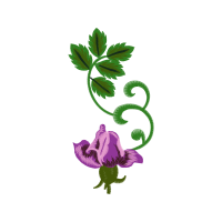 Drawing Wedding Drawing Wedding