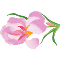 Drawing Wedding Drawing Wedding