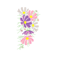 Drawing Wedding Drawing Wedding