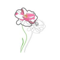 Drawing Wedding Drawing Wedding