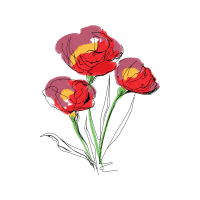 Drawing Wedding Drawing Wedding