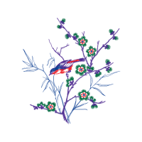 Drawing Wedding Drawing Wedding