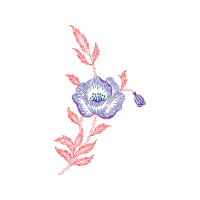 Drawing Wedding Drawing Wedding