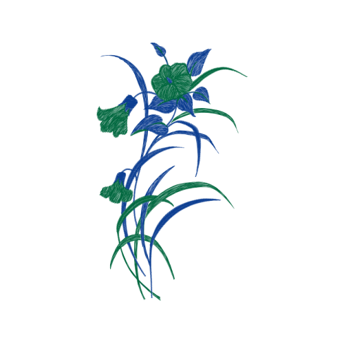 Drawing Wedding Drawing Wedding