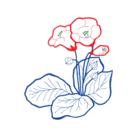 Drawing Wedding Drawing Wedding