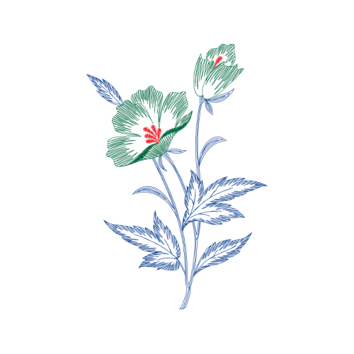 Drawing Wedding Drawing Wedding