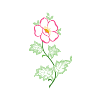 Drawing Wedding Drawing Wedding