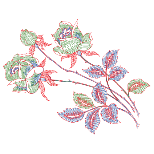 Drawing Wedding Drawing Wedding