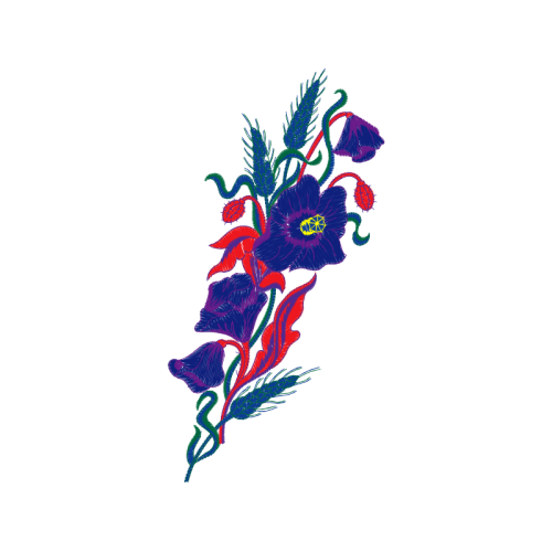 Drawing Wedding Drawing Wedding