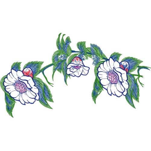 Drawing Wedding Drawing Wedding