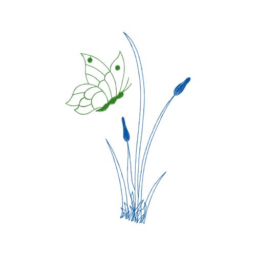 Drawing Wedding Drawing Wedding