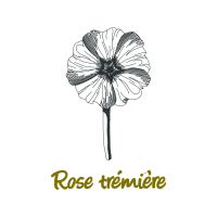 Drawing Wedding Drawing Wedding