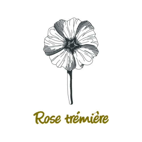 Drawing Wedding Drawing Wedding