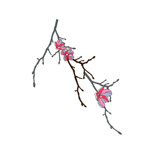 Drawing Wedding Drawing Wedding