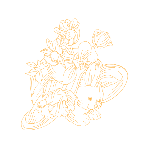 Drawing Wedding Drawing Wedding